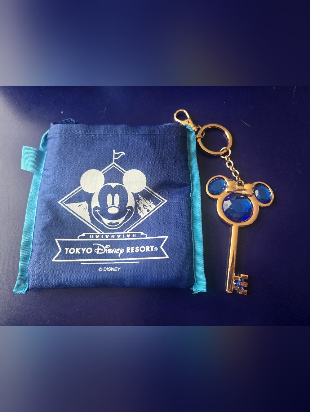Tokyo Disney Resort Foldable, Eco Friendly Tote Bag